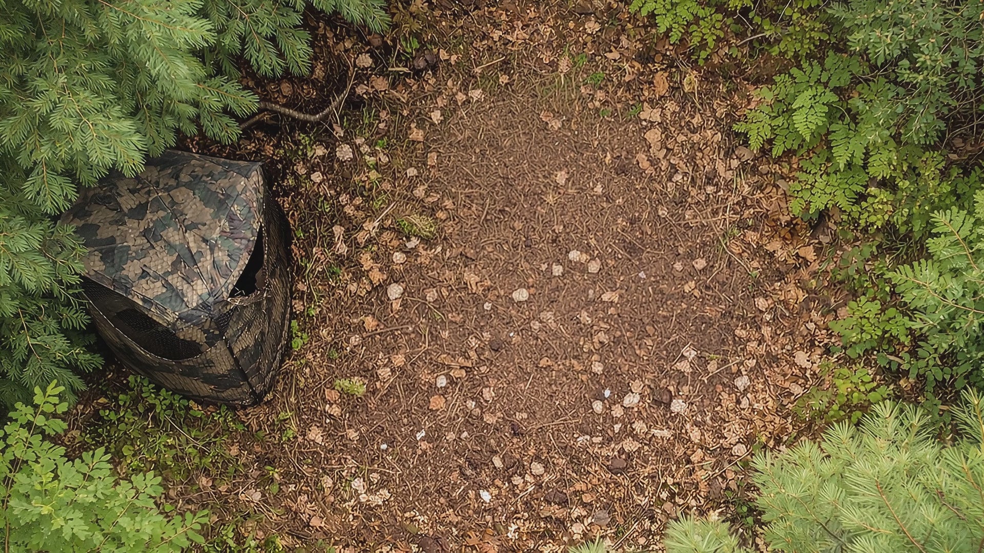 Activités suspectes et environnementales